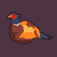 Icon for Pheasant