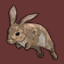 Icon for European Rabbit