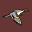 Icon for Northern Pintail