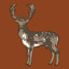 Icon for Fallow Deer