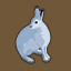 Icon for Snowshoe Hare