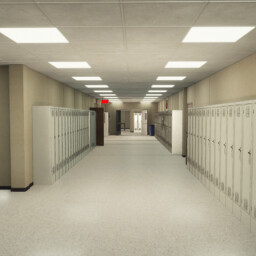 School Halls