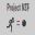 Project N3T icon