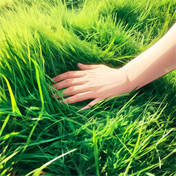 Touch Grass