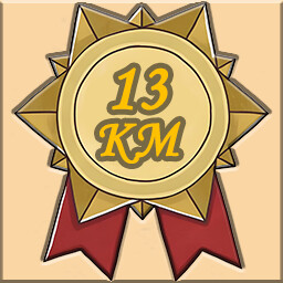 Icon for 🌟Lv.13🌟