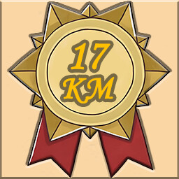 Icon for 🌟Lv.17🌟