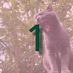 Icon for Rank 1