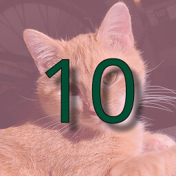 Icon for Rank 10