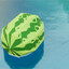 Icon for Find melon