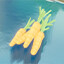 Icon for Find carrots