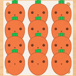 1 dozen carrots