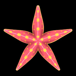 Icon for 海星
