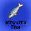 Icewater Fish