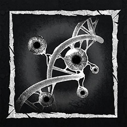 Icon for Pact