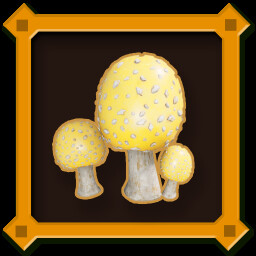 Yellow Amanita Mushroom