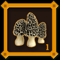 Mushroom Hunter Level 1