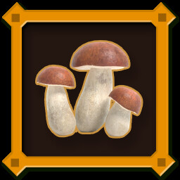 Porcini Mushroom