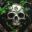 Lost Isle Demo icon