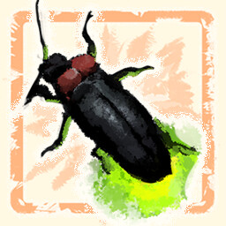 En busca del rey lucirnaga