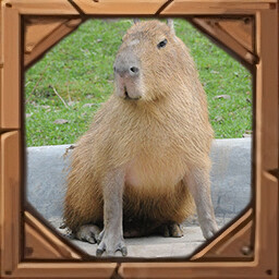 Icon for Tame Capybara