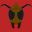 Buzz Wars icon