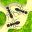 Ant Farm Simulator icon
