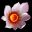 Floralis icon