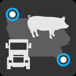 Piggy Express