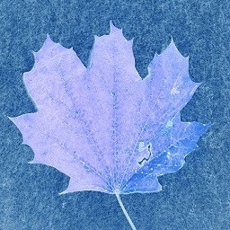 Icon for Fall 2K23 48