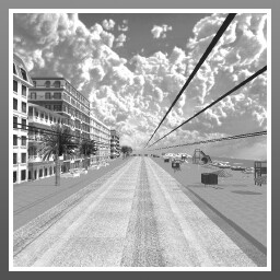 Beneath the Asphalt Is a Dead Beach