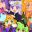Meowphoria icon