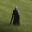 Real Traveler icon
