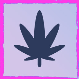 Drug Empire