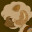 Safo and The Moon Warriors icon