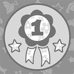 1st Place