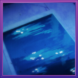 Locura a la luz de la luna