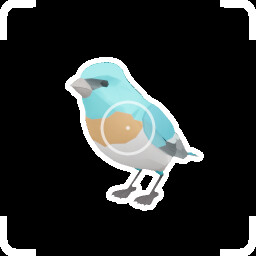 Icon for Perch Perfect