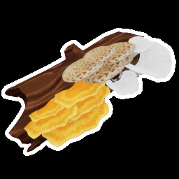 Icon for The Fungus Among Us