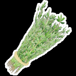 Icon for Bun Cannot Live On Bread Alone