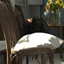 Mission Style achievement icon for The Secret Atelier