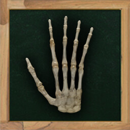 Icon for Escape from the Endless Exam