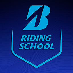 उपलब्धि चिह्न