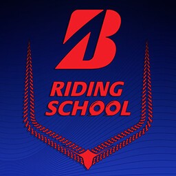 उपलब्धि चिह्न