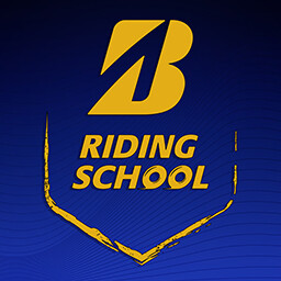 उपलब्धि चिह्न