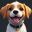 Exotica Pet Shop Simulator 2 icon