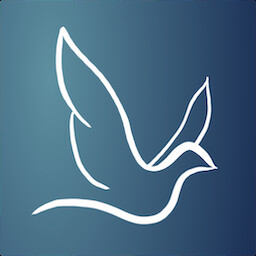 Icon for The Beginning