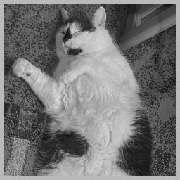 Icon for Hey those are the devs