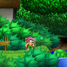 Esta Rana es mi Pana