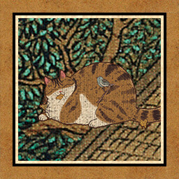 Icon for 325 cats
