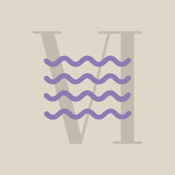 Icon for Waves Total VI